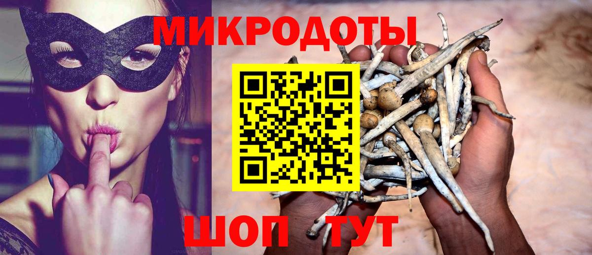 Кудрово  Псилоцибиновые грибы MAGIC MUSHROOMS  Вход с VPN 